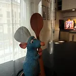 La Belle Et Le Nooki Appartement