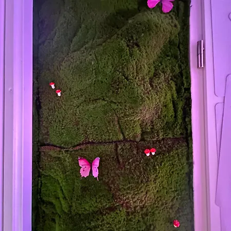La Belle Et Le Nooki Appartement *
