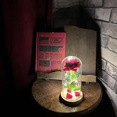 La Belle Et Le Nooki * Meaux