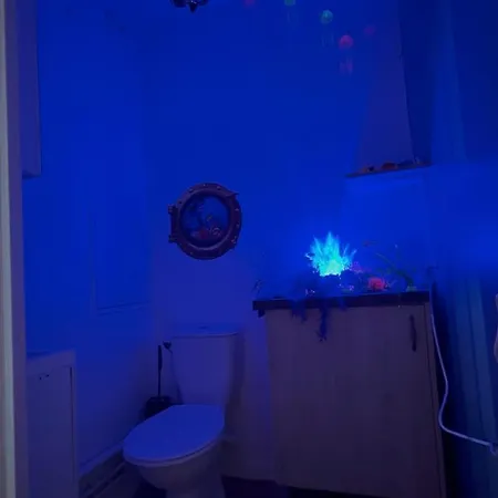 La Belle Et Le Nooki Appartement