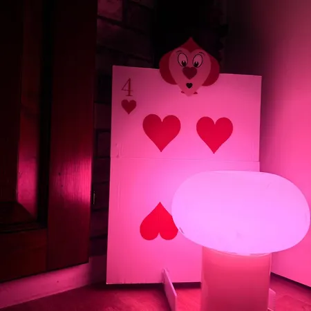La Belle Et Le Nooki Appartement
